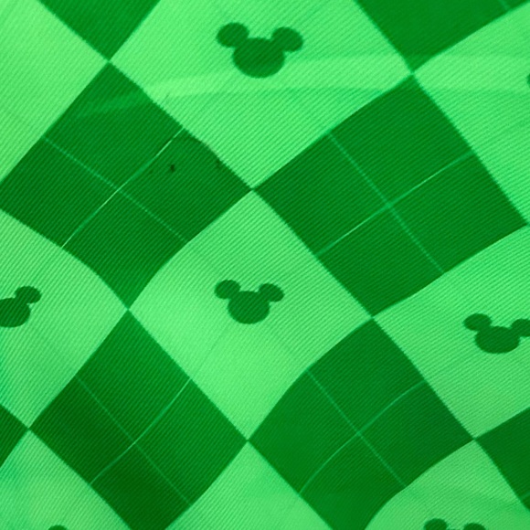 Walt Disney World XL Silver tote - Picture 4 of 10